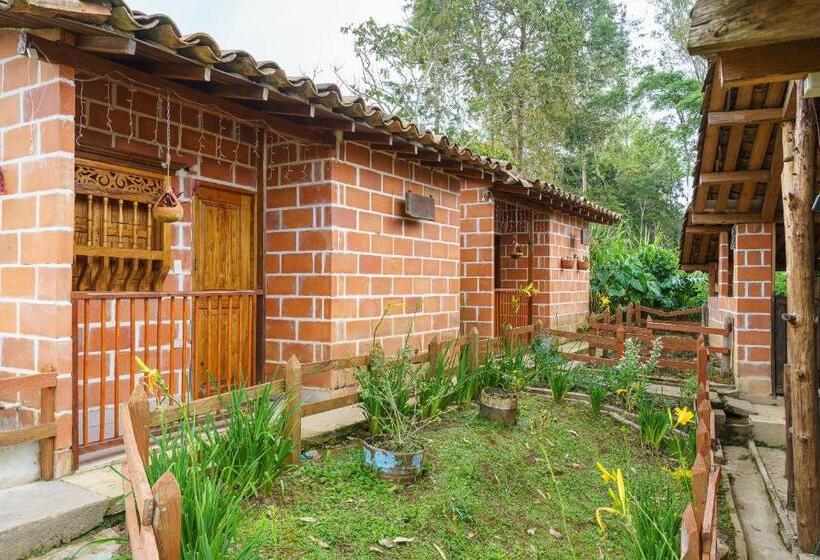 Номер Стандарт, Ciudadela El Artesano