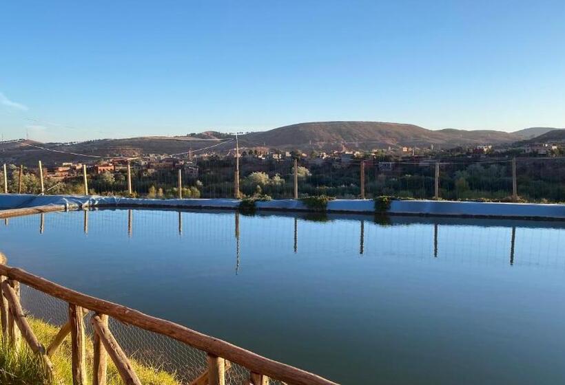 غرفة قياسية فردية, Panorama Complex