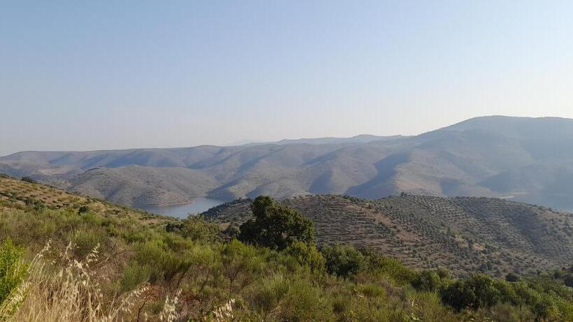 プールビュースタンダードルーム, Quinta Alto Da Fraga