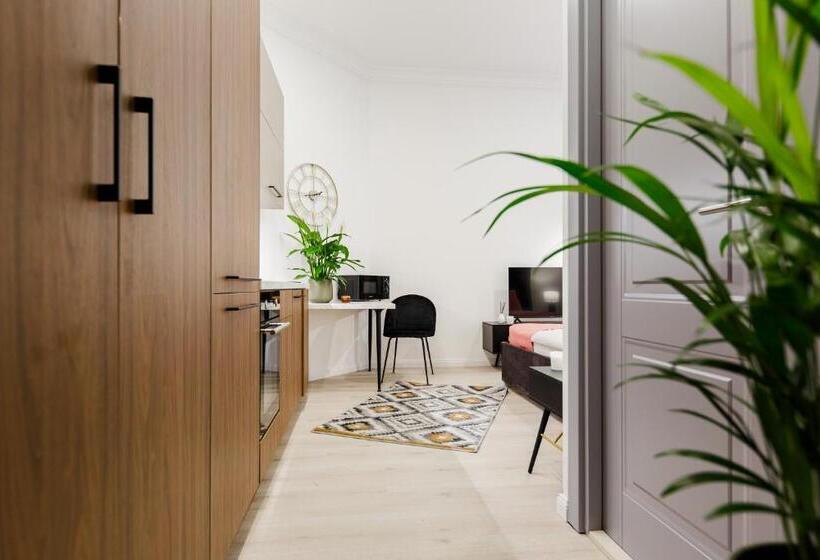 استودیوی استاندارد, Rigaapartment Elizabetes 22 Self Service Apart