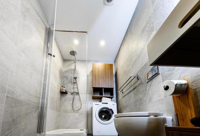 استودیوی استاندارد, Rigaapartment Elizabetes 22 Self Service Apart