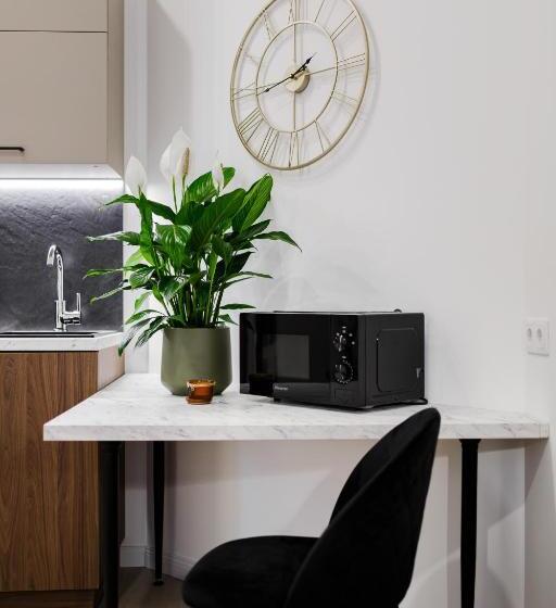 استودیوی استاندارد, Rigaapartment Elizabetes 22 Self Service Apart