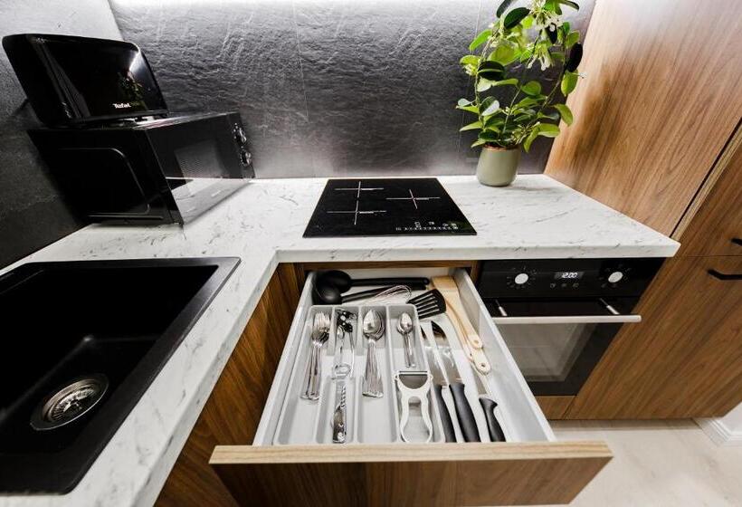 آپارتمان 2 خوابه, Rigaapartment Elizabetes 22 Self Service Apart