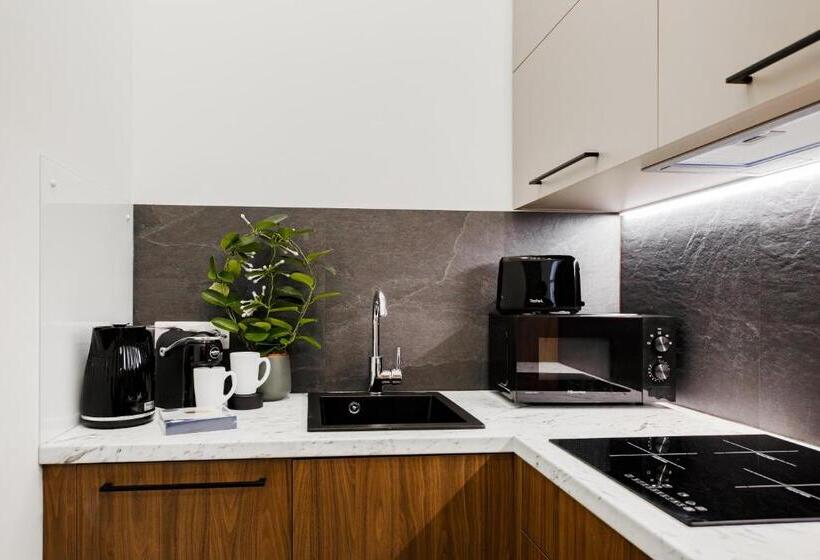 آپارتمان 2 خوابه, Rigaapartment Elizabetes 22 Self Service Apart