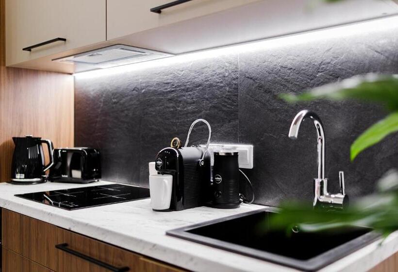 استودیوی استاندارد, Rigaapartment Elizabetes 22 Self Service Apart