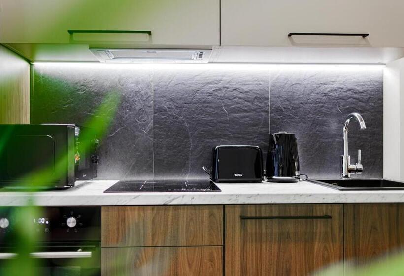 آپارتمان 1 خوابه, Rigaapartment Elizabetes 22 Self Service Apart