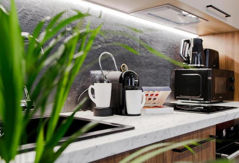 آپارتمان سوپریور 1 خوابه, Rigaapartment Elizabetes 22 Self Service Apart