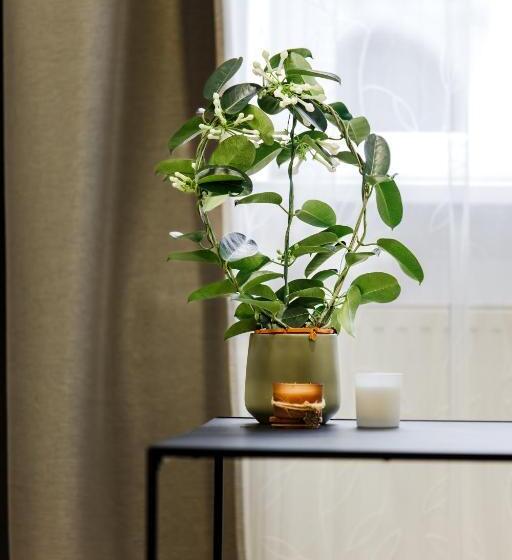 آپارتمان سوپریور 1 خوابه, Rigaapartment Elizabetes 22 Self Service Apart