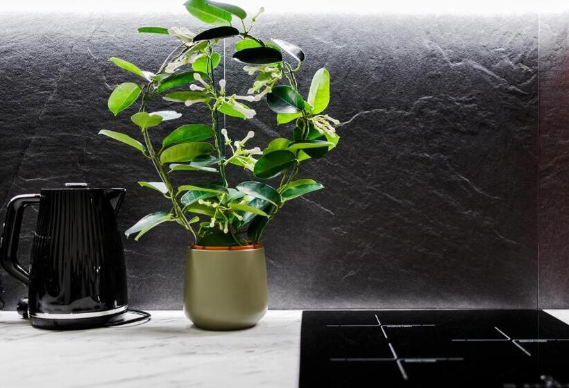 آپارتمان 2 خوابه, Rigaapartment Elizabetes 22 Self Service Apart