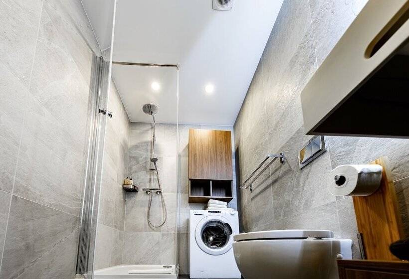 استودیوی استاندارد, Rigaapartment Elizabetes 22 Self Service Apart