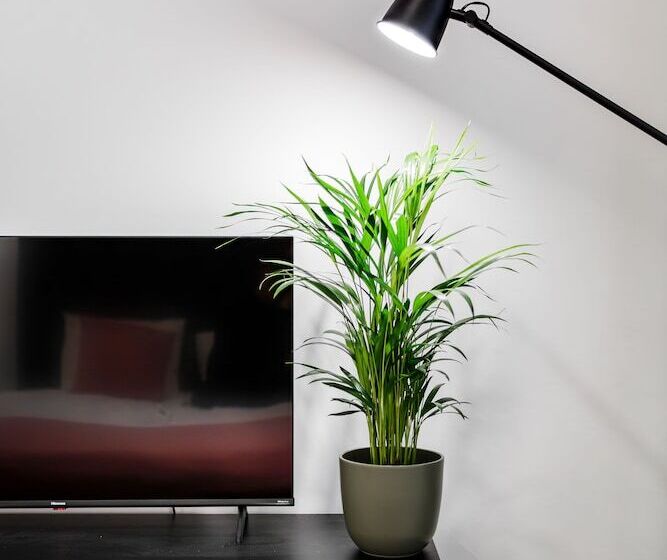 استودیوی استاندارد, Rigaapartment Elizabetes 22 Self Service Apart