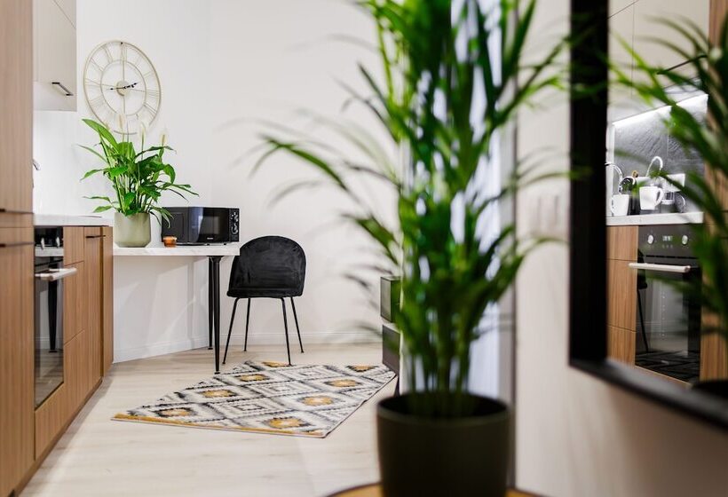 استودیوی استاندارد, Rigaapartment Elizabetes 22 Self Service Apart