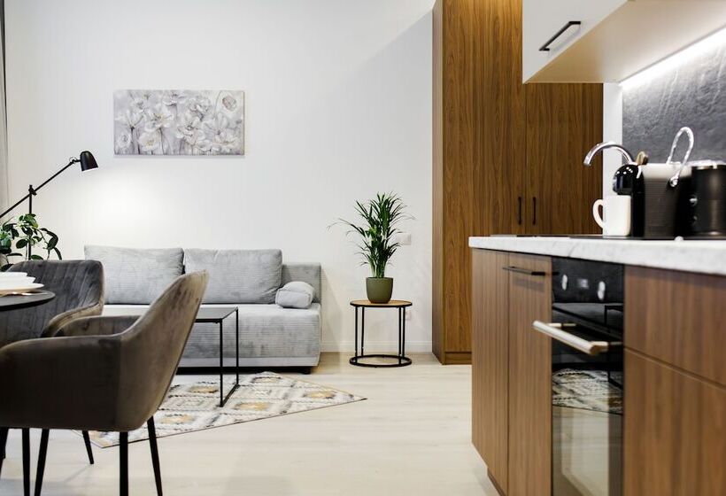 آپارتمان سوپریور 1 خوابه, Rigaapartment Elizabetes 22 Self Service Apart