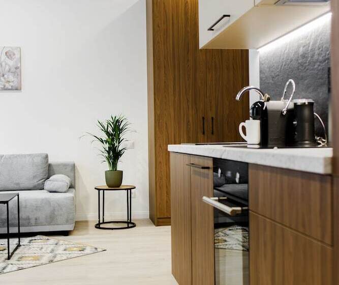 آپارتمان سوپریور 1 خوابه, Rigaapartment Elizabetes 22 Self Service Apart