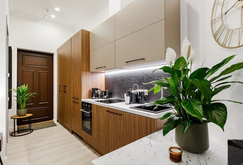 استودیوی استاندارد, Rigaapartment Elizabetes 22 Self Service Apart