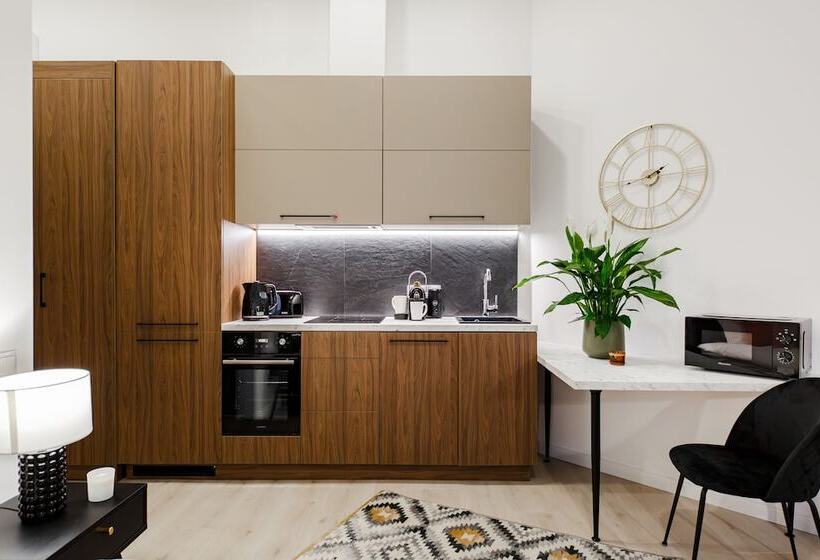 استودیوی استاندارد, Rigaapartment Elizabetes 22 Self Service Apart