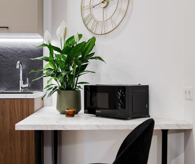 استودیوی استاندارد, Rigaapartment Elizabetes 22 Self Service Apart