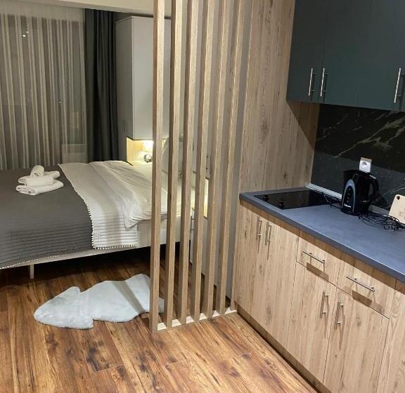 استودیو استاندارد با چشم‌انداز, Apartmani Aj   A11 & A12 Kopaonik Aris Resort