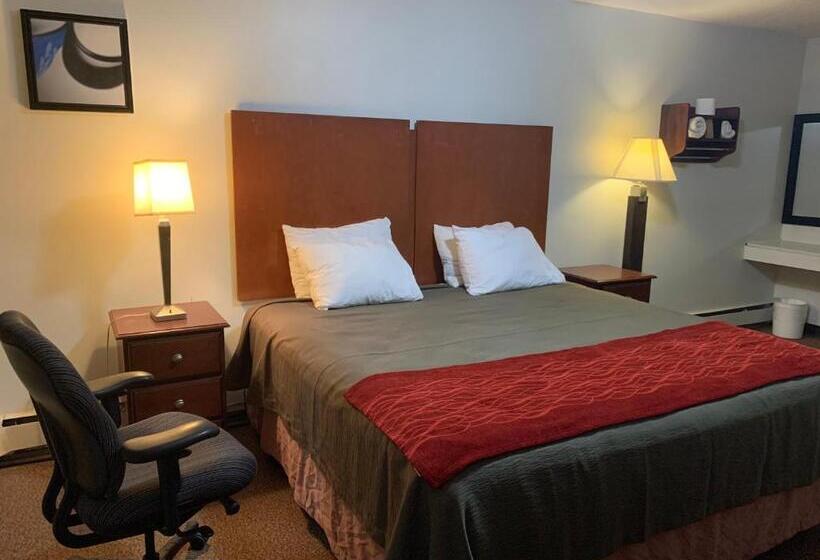 غرفة قياسية سرير كينج, Franklin Motel