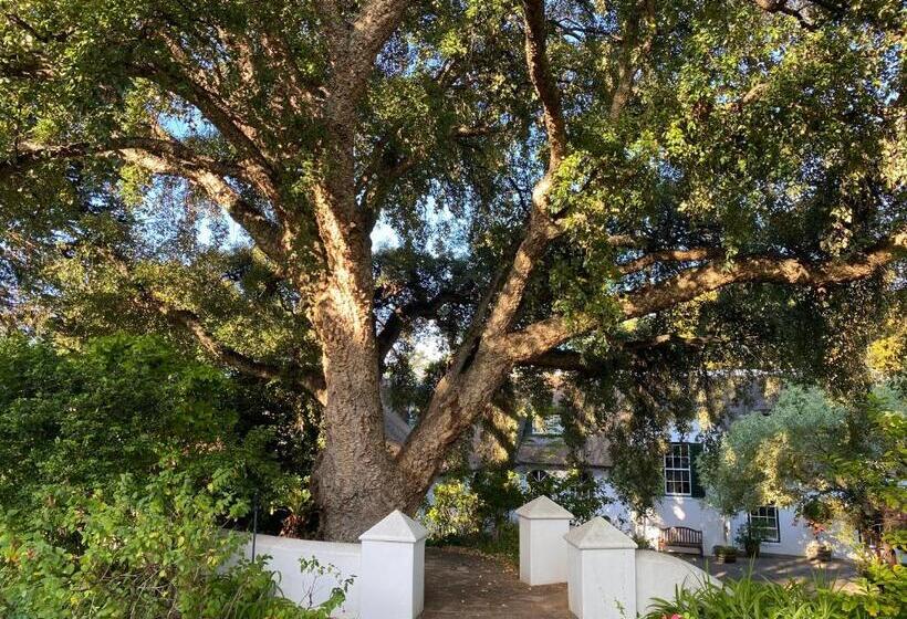 キングサイズベッドのスーペリアルーム, Constantia Cottage