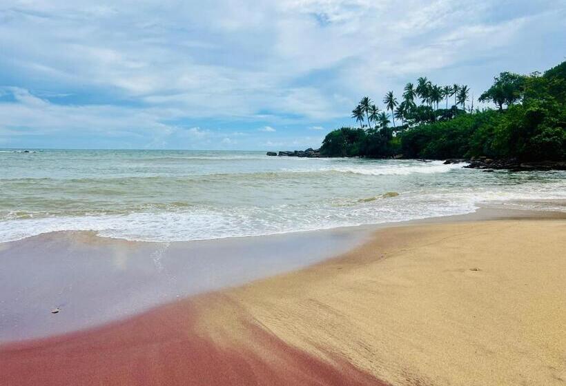 片側に海が見えるデラックスルーム, Sun Beach
