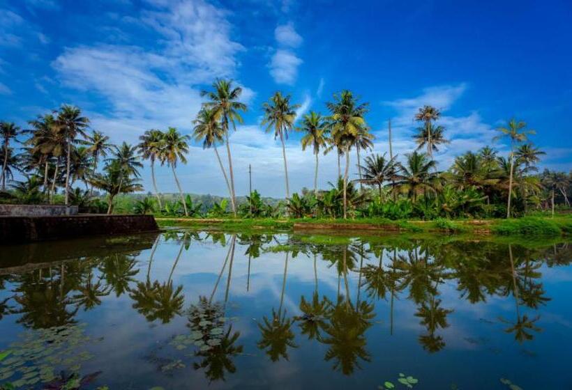 Люкс, Elite Inn Cholai Lake View Resort