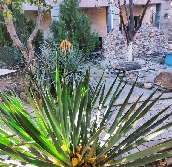 Bed in een Gedeelde Kamer, Hostel Travels In Comfort