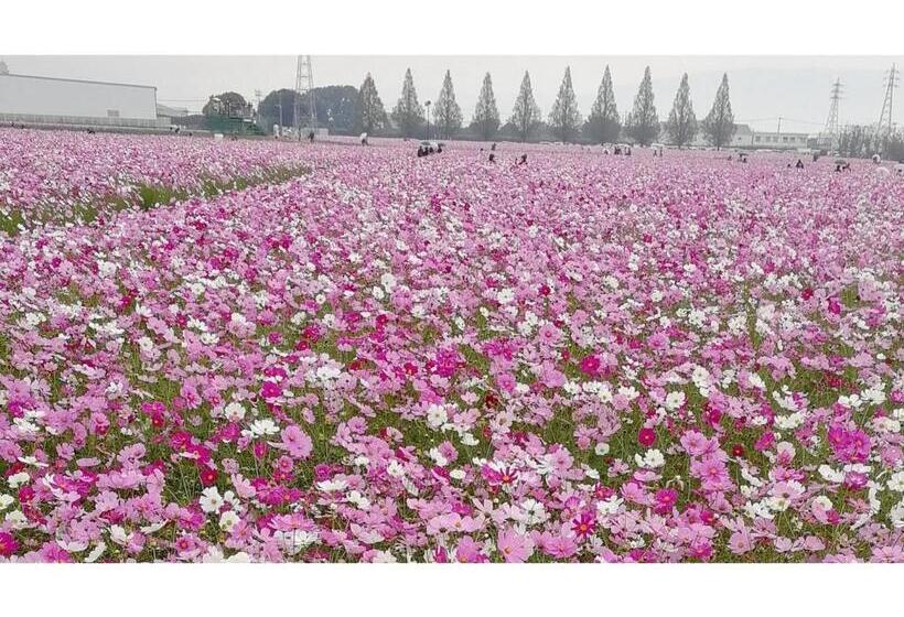 스탠다드 스튜디오, Harazuru Onsen Taisenkaku Vacation Stay 96472v