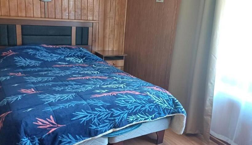 バス共有のスタンダードルーム, Plaza Tucapel