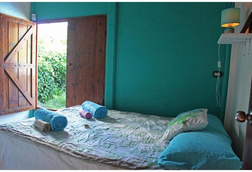 اتاق استاندارد, Hone Sweet Hone