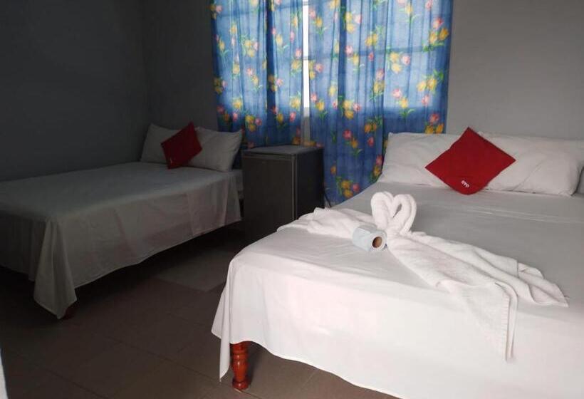 스탠다드 룸, María Inés