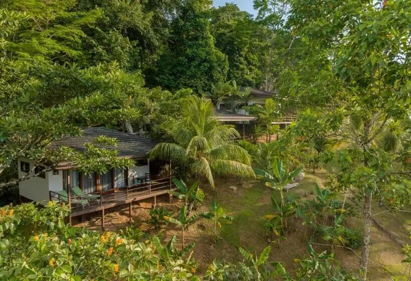 Deluxe-huone Merinäkymä, The Tranquilo Lodge, Adult Only, All Meals Included