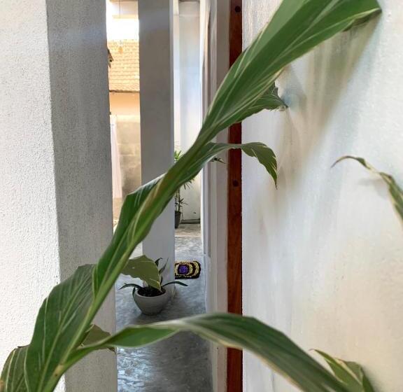 标准间, Salty Fish Mirissa