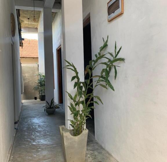 标准间, Salty Fish Mirissa