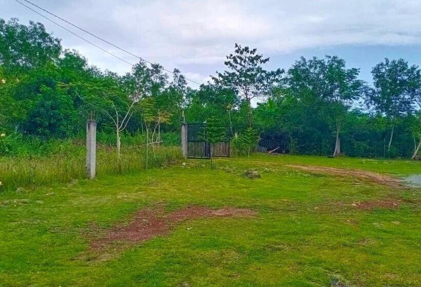 Семейный Номер, Yfs Guesthouse With Motorbike