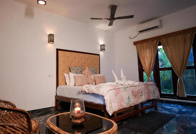 اتاق استاندارد, Driftwood Beach Resort