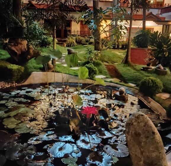 اتاق استاندارد, Driftwood Beach Resort