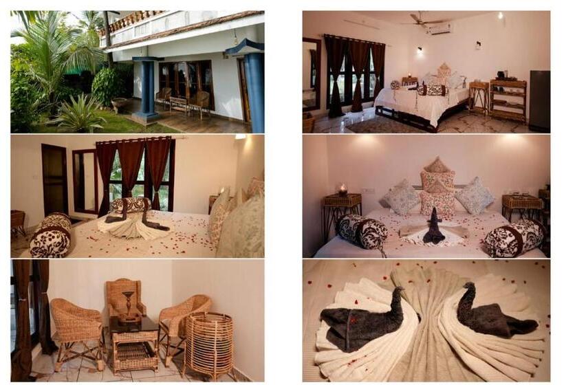 اتاق استاندارد, Driftwood Beach Resort