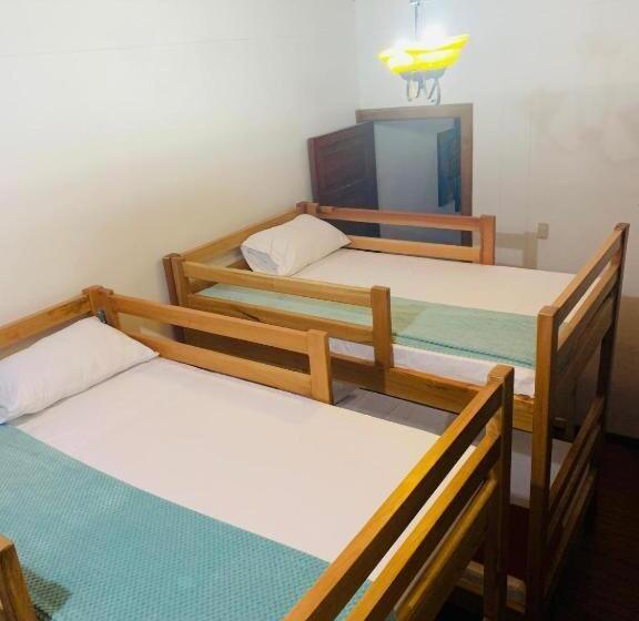 浴室共有スタンダード4人用ルーム, Finca Hotel Calle Jardin