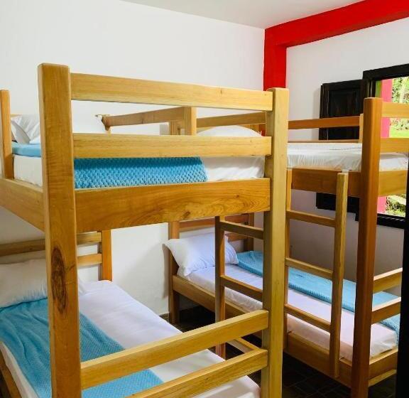 浴室共有スタンダード4人用ルーム, Finca Hotel Calle Jardin