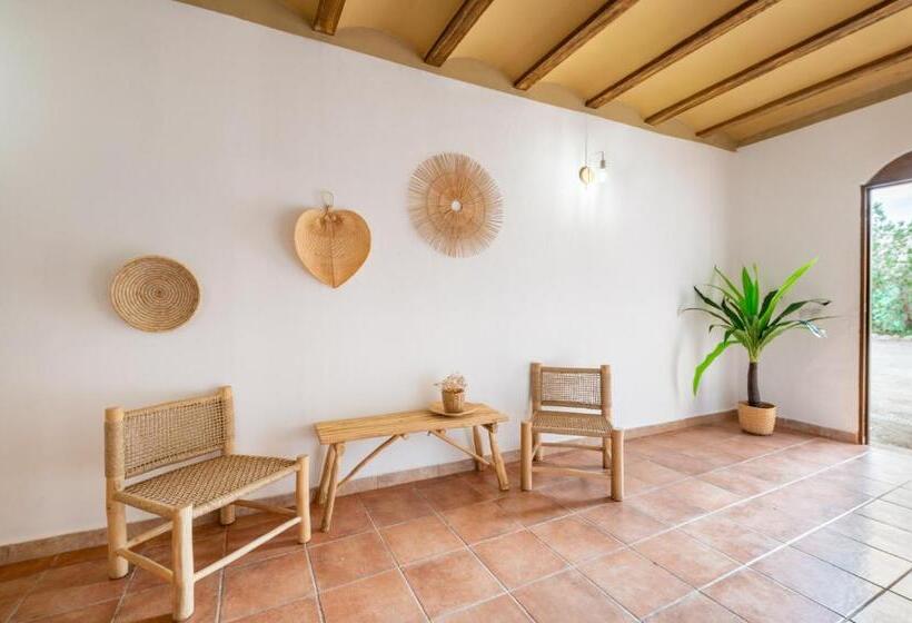 Апартаменты 1 Спальня, Agroturismo El Limonar 5