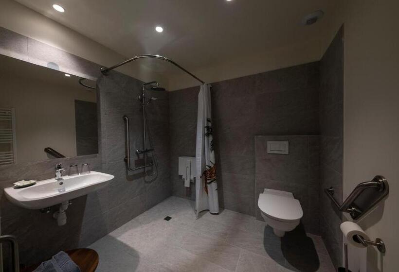 身障者適用スタンダードルーム, Hôtel Du Domaine Saint Loup