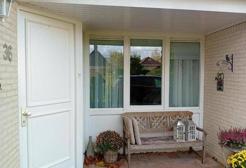 Номер Стандарт, Oudaen 36