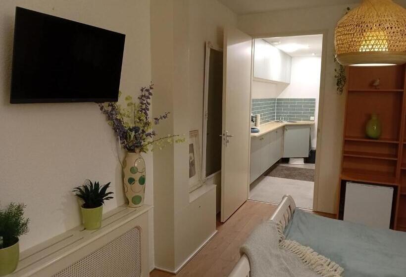 Номер Стандарт, Oudaen 36