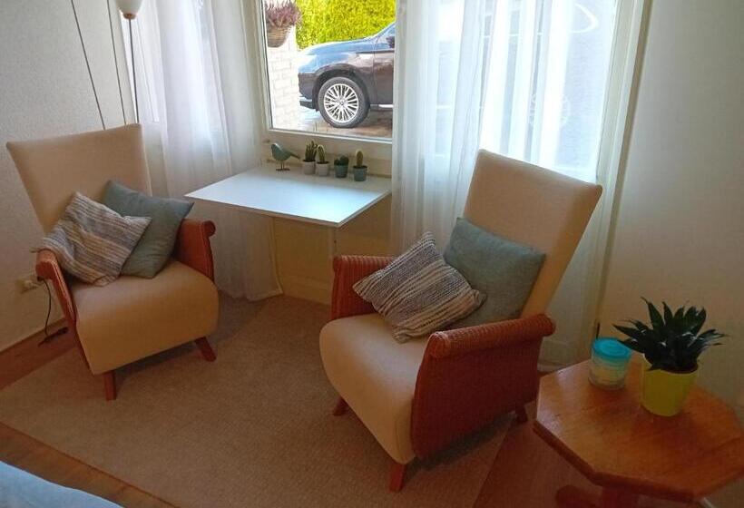 Номер Стандарт, Oudaen 36