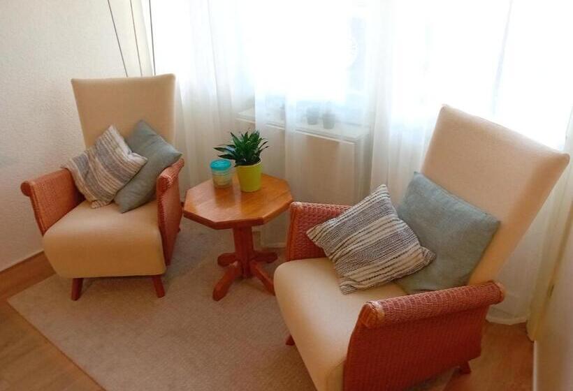 Номер Стандарт, Oudaen 36