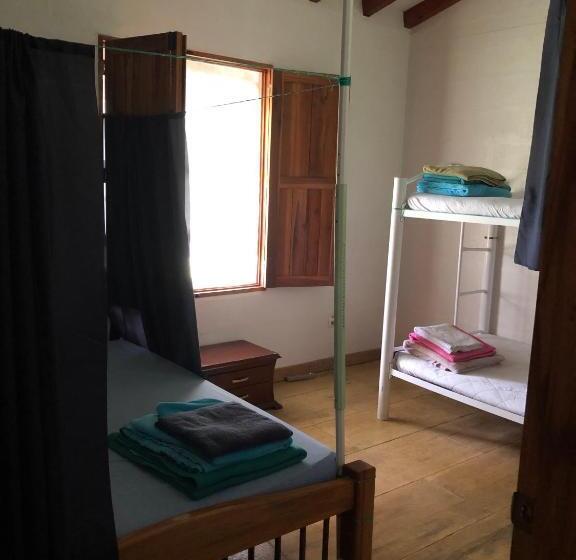 מיטה בחדר משותף, Spanglish Colombia