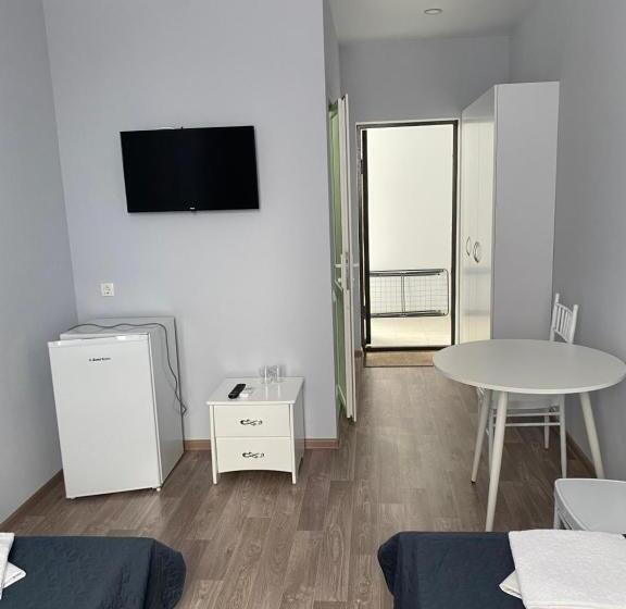 Cameră Standard, Dinamo