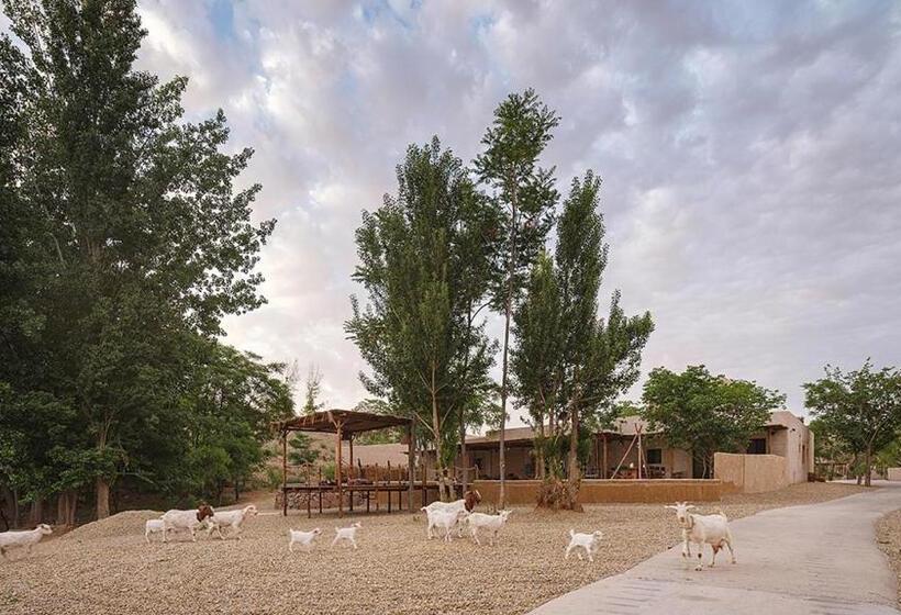 Standart İç Oda, South Zhongwei Resort