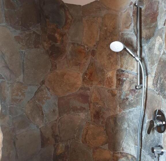 スタンダードルーム, Berry